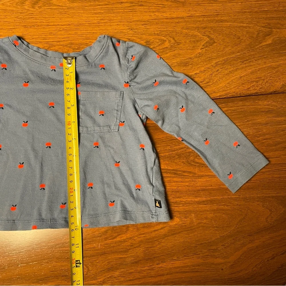 GAP Long Sleeve Blue Tee with Red apples. Size 2 years, 2T.